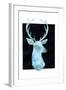 White Tail Bust I-Grace Popp-Framed Art Print