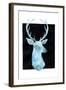 White Tail Bust I-Grace Popp-Framed Art Print