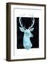 White Tail Bust I-Grace Popp-Framed Art Print