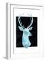 White Tail Bust I-Grace Popp-Framed Art Print