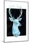 White Tail Bust I-Grace Popp-Mounted Art Print