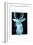 White Tail Bust II-Grace Popp-Framed Art Print