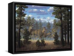 White Tail Family-R.W. Hedge-Framed Stretched Canvas