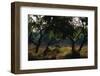 White-Tailed Deer and Trees-W. Perry Conway-Framed Photographic Print