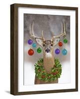 White-Tailed Deer Buck in Winter Snow with Christmas-null-Framed Photographic Print