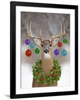 White-Tailed Deer Buck in Winter Snow with Christmas-null-Framed Photographic Print