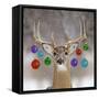 White-Tailed Deer Buck in Winter Snow-null-Framed Stretched Canvas