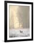 White-tailed Deer in Fog-Jason Savage-Framed Giclee Print