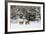 White-Tailed Deer (Odocoileus Virginianus) In Snow, Acadia National Park, Maine, USA, February-George Sanker-Framed Photographic Print