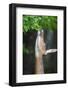 White-tailed deer reaching up to feed on leaves, USA-George Sanker-Framed Photographic Print