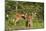 White-Tailed Deer Two Fawns-null-Mounted Photographic Print