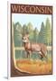 White-Tailed Deer - Wisconsin-Lantern Press-Framed Art Print