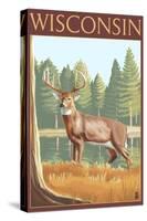 White-Tailed Deer - Wisconsin-Lantern Press-Stretched Canvas