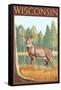 White-Tailed Deer - Wisconsin-Lantern Press-Framed Stretched Canvas
