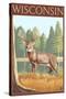 White-Tailed Deer - Wisconsin-Lantern Press-Stretched Canvas