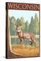 White-Tailed Deer - Wisconsin-Lantern Press-Stretched Canvas