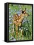 White-Tailed Deer-null-Framed Stretched Canvas