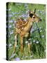 White-Tailed Deer-null-Stretched Canvas