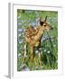 White-Tailed Deer-null-Framed Photographic Print