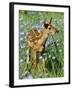 White-Tailed Deer-null-Framed Photographic Print