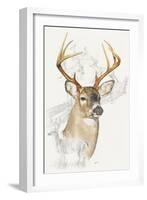 White Tailed Deer-Barbara Keith-Framed Giclee Print