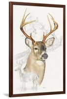 White Tailed Deer-Barbara Keith-Framed Giclee Print