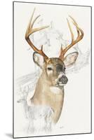 White Tailed Deer-Barbara Keith-Mounted Giclee Print