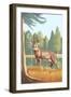 White Tailed Deer-Lantern Press-Framed Art Print