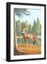 White Tailed Deer-Lantern Press-Framed Art Print