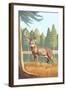 White Tailed Deer-Lantern Press-Framed Art Print