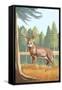 White Tailed Deer-Lantern Press-Framed Stretched Canvas