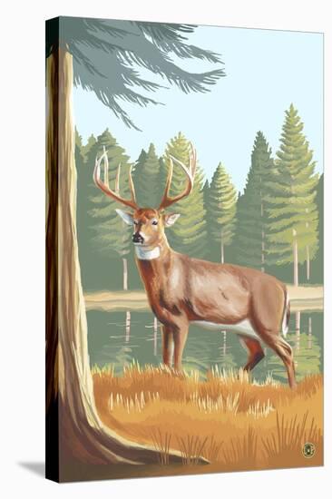 White Tailed Deer-Lantern Press-Stretched Canvas