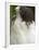 White-Tailed Hawk, Anton El Valle, Panama-William Sutton-Framed Premium Photographic Print