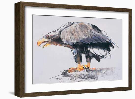 White Tailed Sea Eagle, 2001-Mark Adlington-Framed Giclee Print
