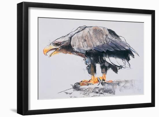 White Tailed Sea Eagle, 2001-Mark Adlington-Framed Giclee Print