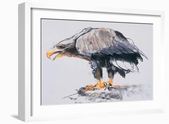 White Tailed Sea Eagle, 2001-Mark Adlington-Framed Giclee Print