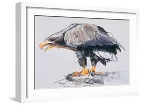 White Tailed Sea Eagle, 2001-Mark Adlington-Framed Giclee Print