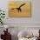 White Tailed Sea Eagle (Haliaeetus Albicilla) in Flight Silhouetted Against an Orange Sky, Norway-Widstrand-Stretched Canvas displayed on a wall