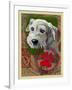 White Terrier-Cathy Cute-Framed Giclee Print