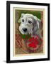 White Terrier-Cathy Cute-Framed Giclee Print