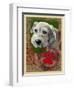 White Terrier-Cathy Cute-Framed Giclee Print