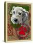 White Terrier-Cathy Cute-Stretched Canvas