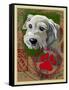 White Terrier-Cathy Cute-Framed Stretched Canvas