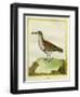 White-Throated Dipper-Georges-Louis Buffon-Framed Giclee Print