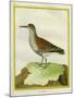 White-Throated Dipper-Georges-Louis Buffon-Mounted Giclee Print