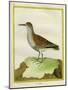 White-Throated Dipper-Georges-Louis Buffon-Mounted Giclee Print