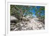 White Throated Lizard-Otto du Plessis-Framed Photographic Print