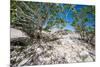 White Throated Lizard-Otto du Plessis-Mounted Photographic Print