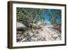 White Throated Lizard-Otto du Plessis-Framed Photographic Print