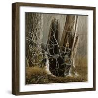 White Throated Sparrows-Michael Budden-Framed Giclee Print